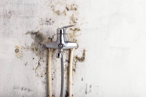 Best Mold Testing  in Gorman, NC