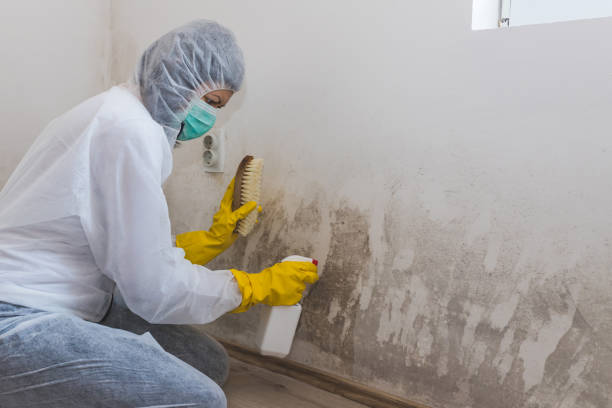 Best Residential Mold Removal  in Gorman, NC
