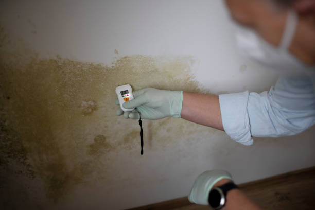 Best Water Damage Restoration  in Gorman, NC