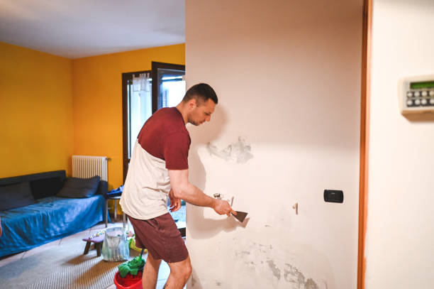 Gorman, NC Mold Removal Company